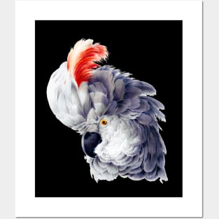 Gift for Parrot Lover Mom Vintage Cockatoo Owner Posters and Art